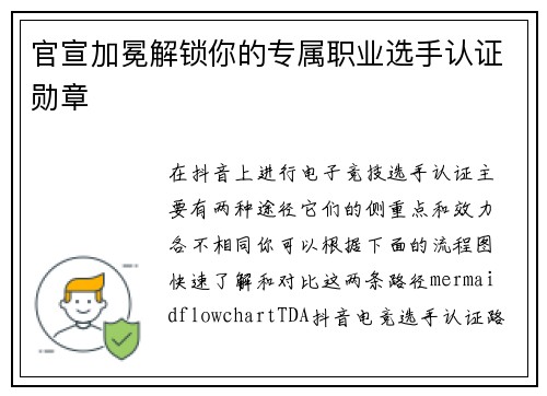 官宣加冕解锁你的专属职业选手认证勋章